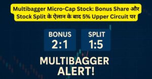 Multibagger Micro-Cap Stock