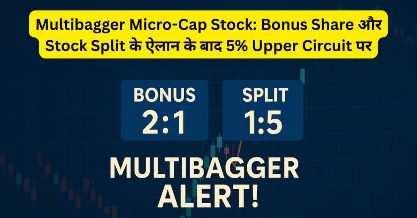 Multibagger Micro-Cap Stock