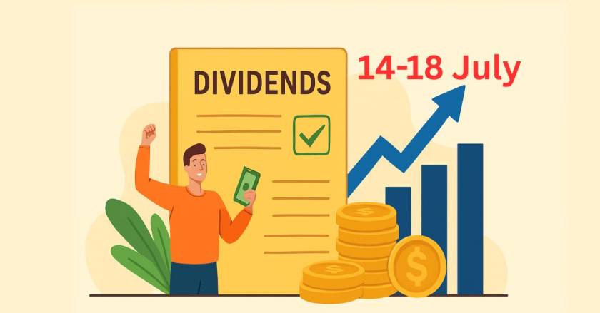 Dividend
